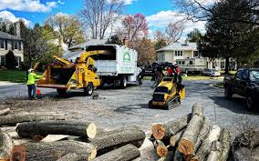 Best Soil Testing and Treatment  in Lansford, PA