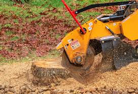 Best Stump Grinding and Removal  in Lansford, PA
